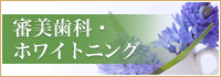 審美歯科・ホワイトニング